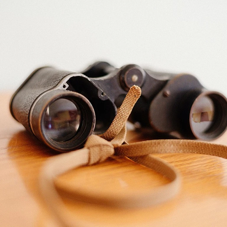 Unlocking the Potential of Employee Referrals: 5 Effective Strategies