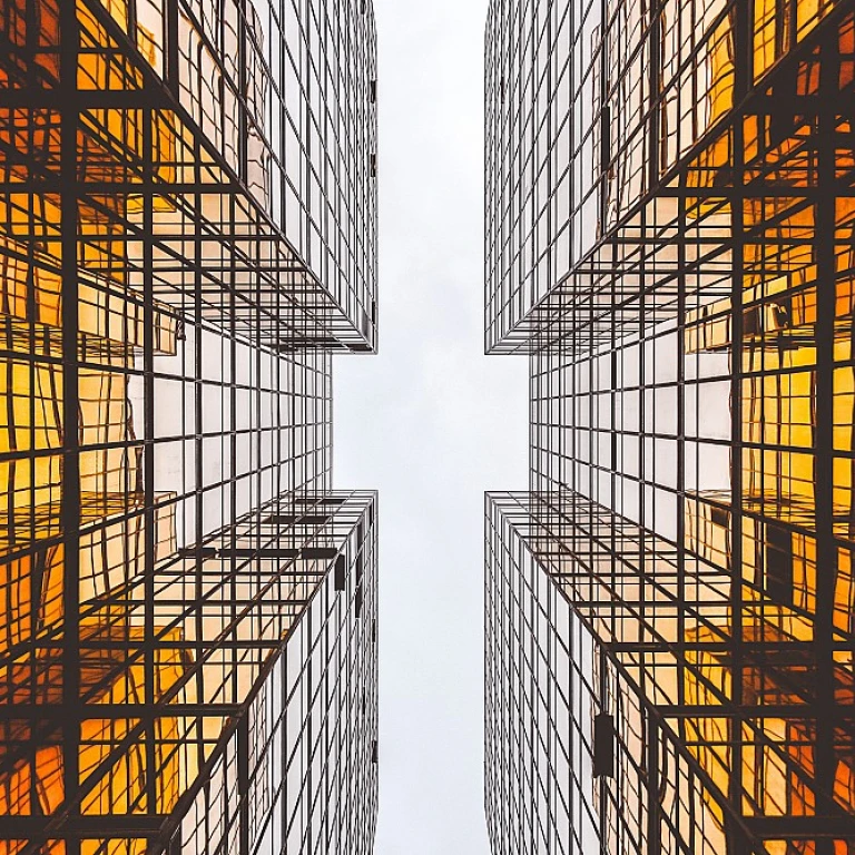 The Impact of Ethical Conduct on Long-term Organizational Success