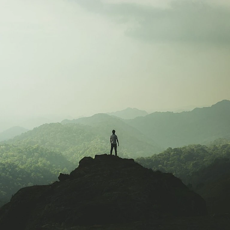 Navigating Your Way Out of a Toxic Workplace