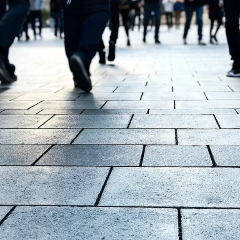 Understanding the Role of a Chief People Officer